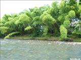 Río la Poza de Río Grande - RÍO GRANDE